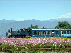 Rail way :: Darjeeling